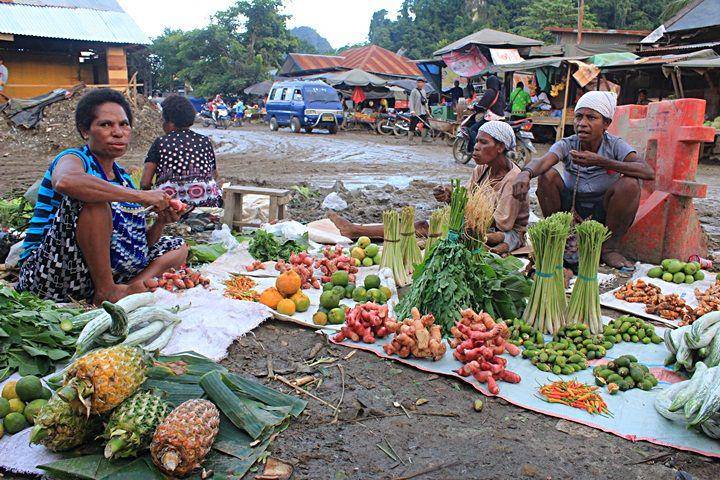 papua.news