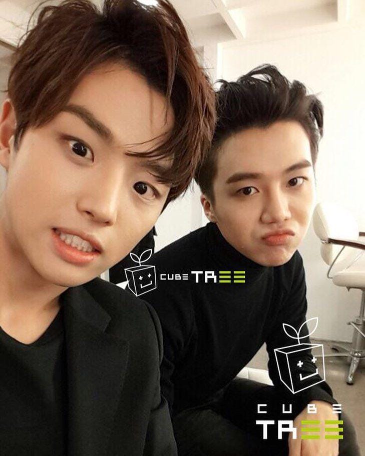 instagram.com/addxcubetree