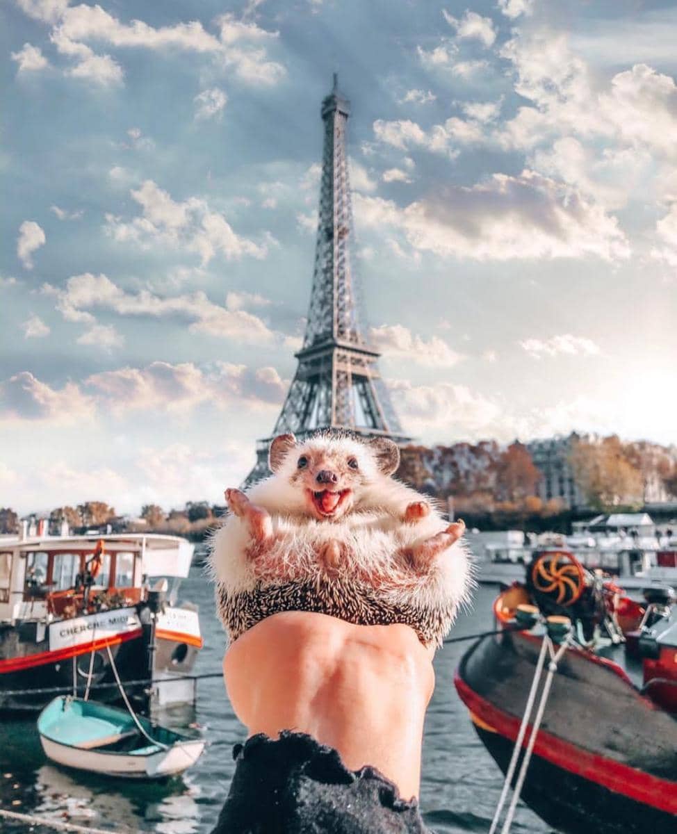 Instagram.com/mr.pokee