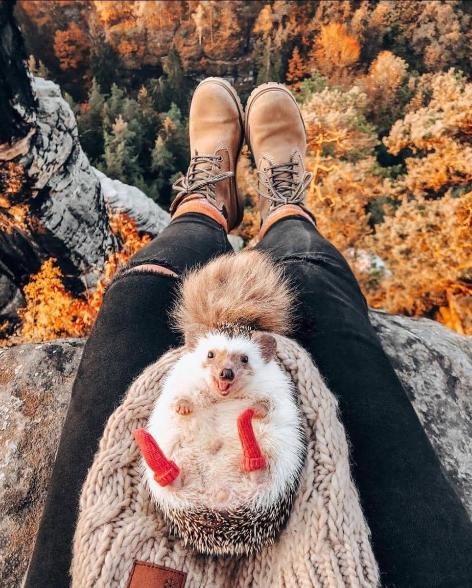 Instagram.com/mr.pokee