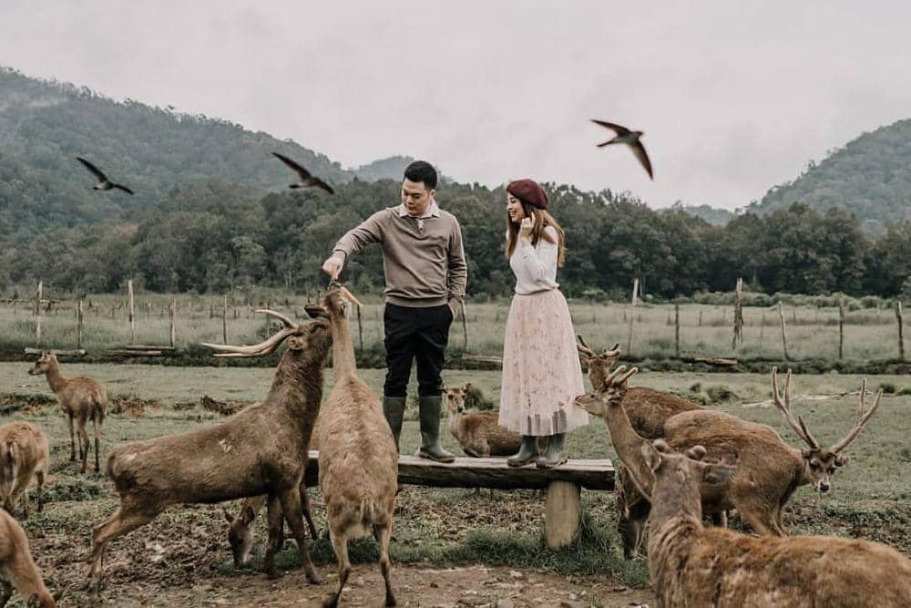 Instagram.com/jessicavaniaw