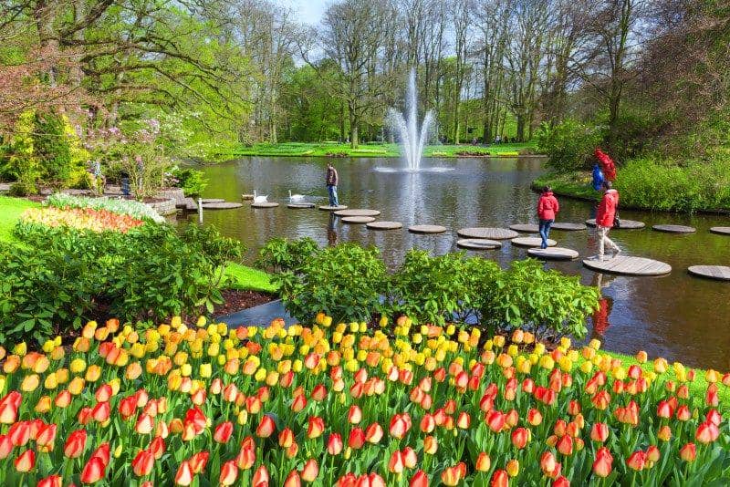 tulipfestivalamsterdam.com