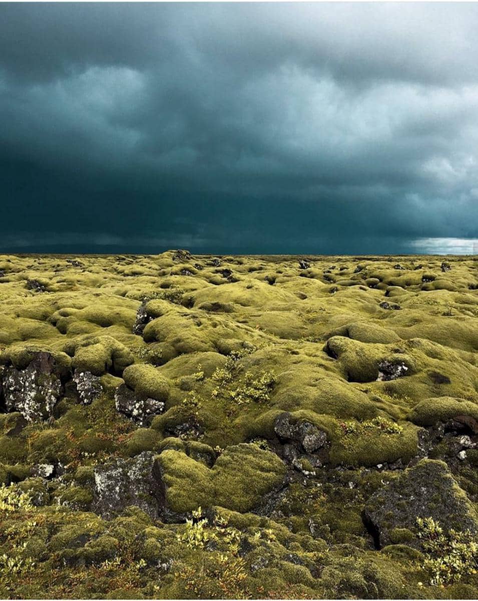 instragam.com/iamallenation