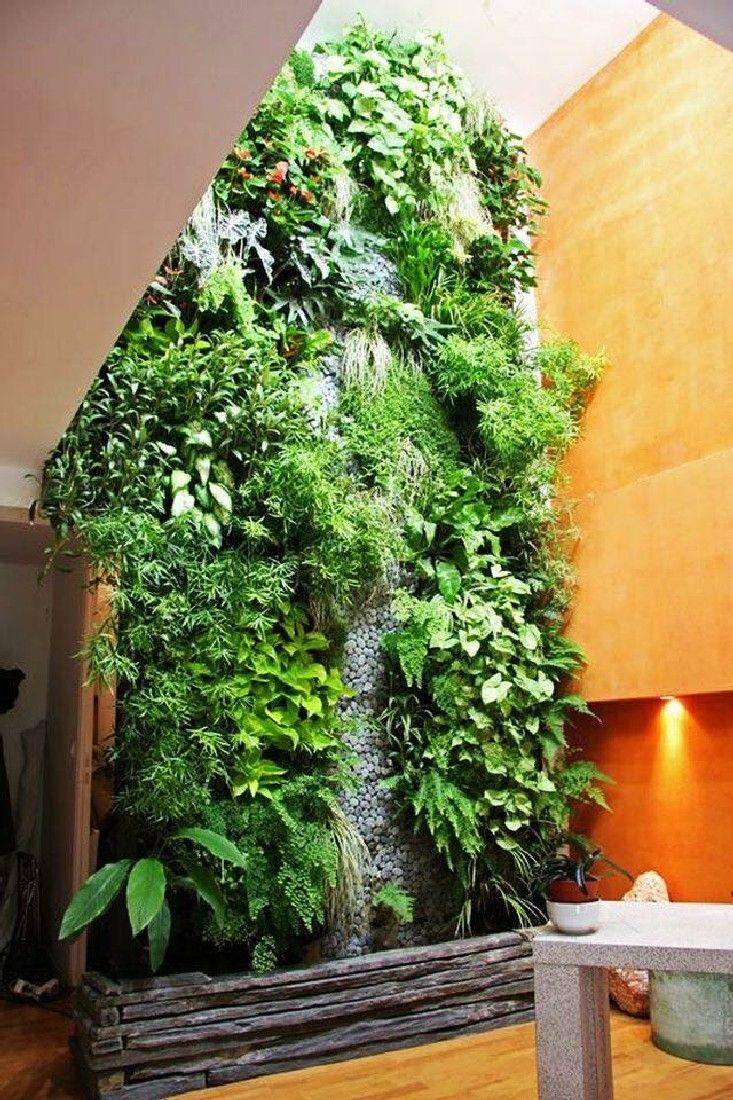 ecosia.org