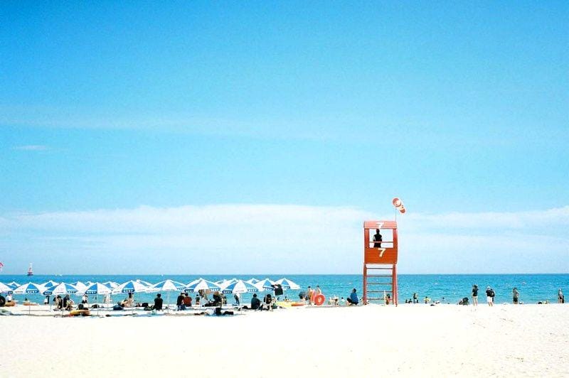 instagram.com/sakunene