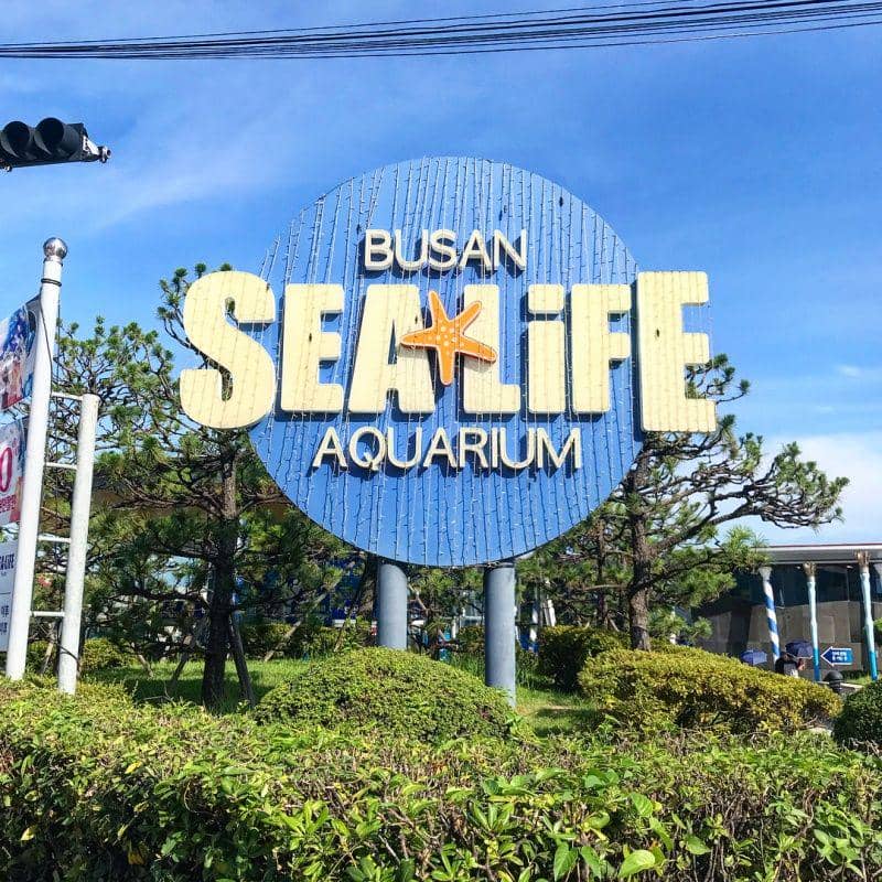 instagram.com/_risaaababy_