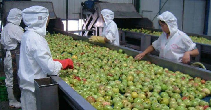 greenhealthyplanet.com