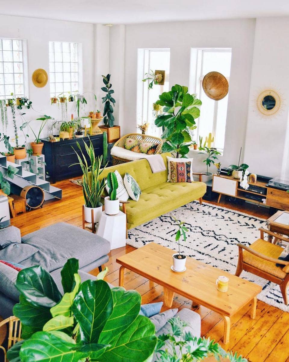 instagram.com/mrcigar