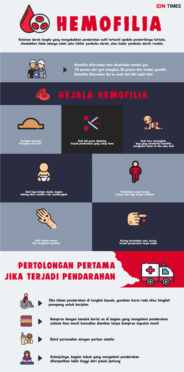 IDN Times/Arif Rahmat