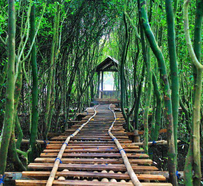 wisataliburan.co.id