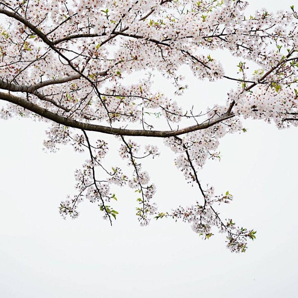 instagram.com/ayudiac