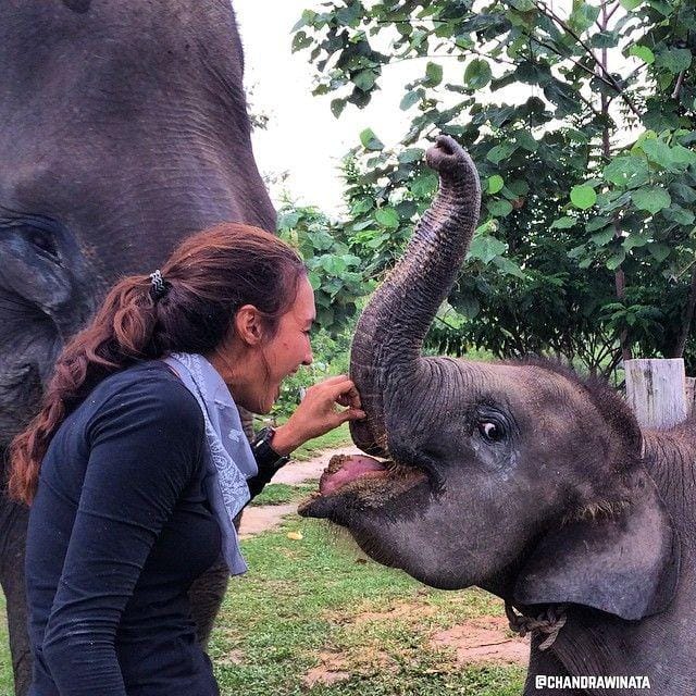 instagram.com/nadinelist