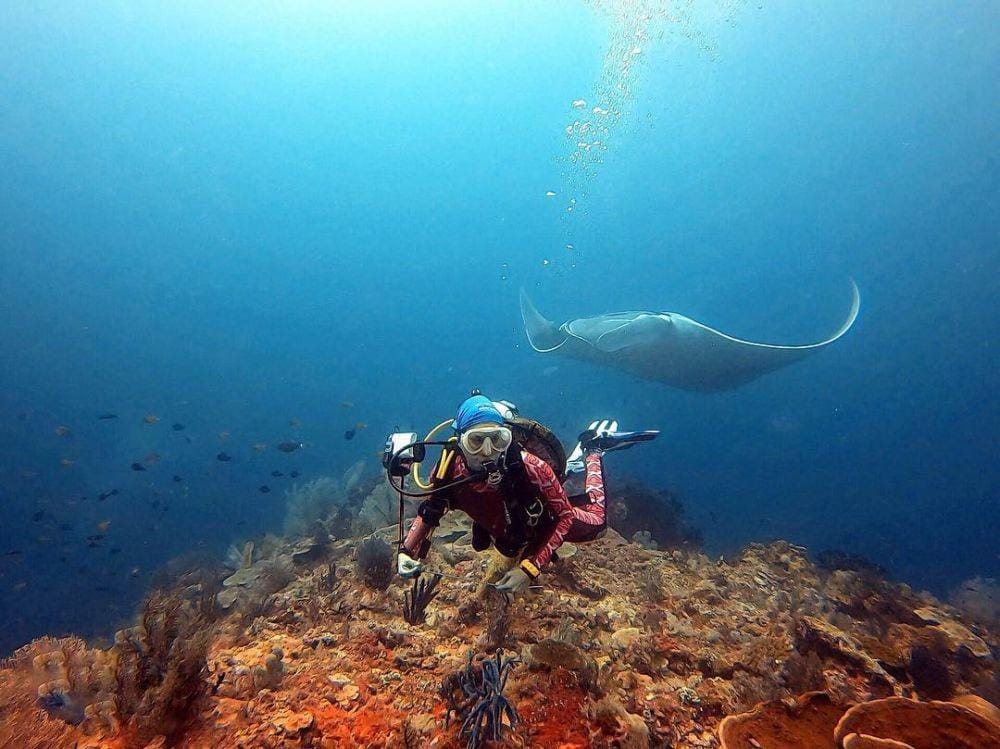 instagram.com/nadinelist