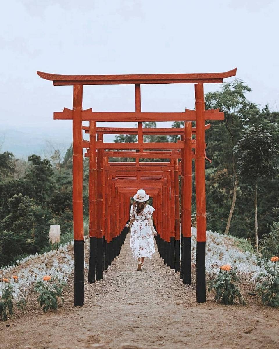 instagram.com/gustindra