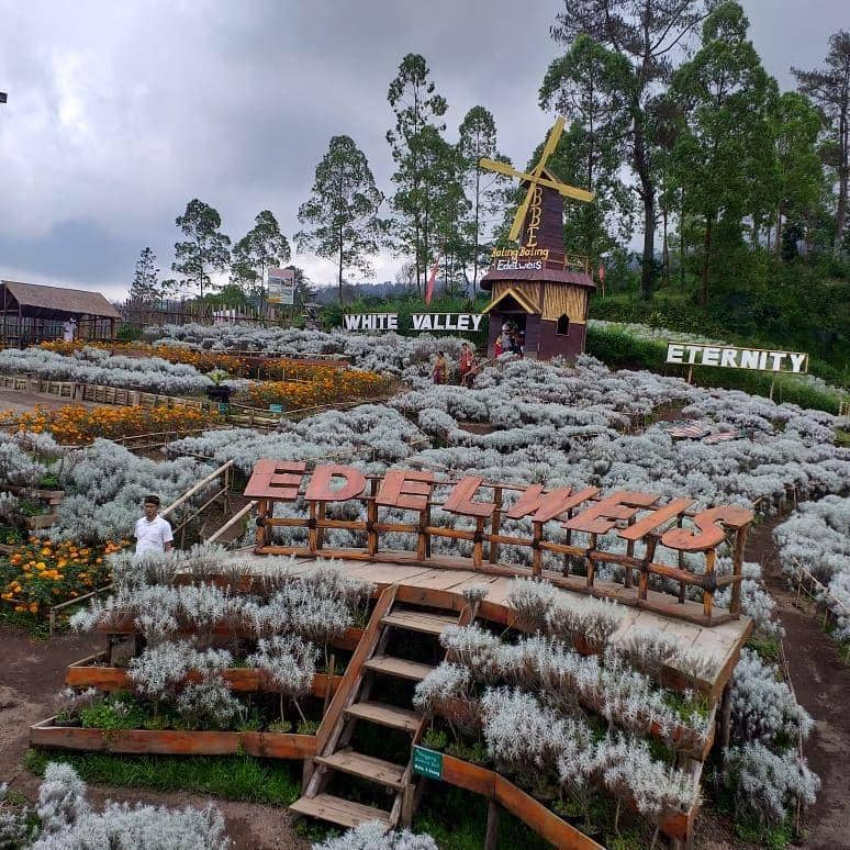 instagram.com/antoni_cahniago