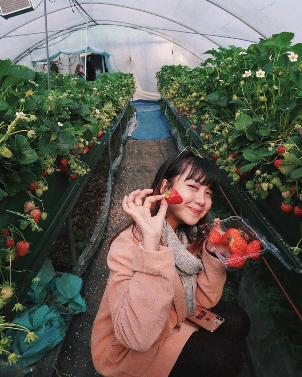 instagram.com/gheaindrawari