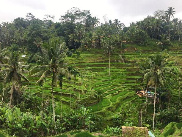 trover.com/Linda Haslar