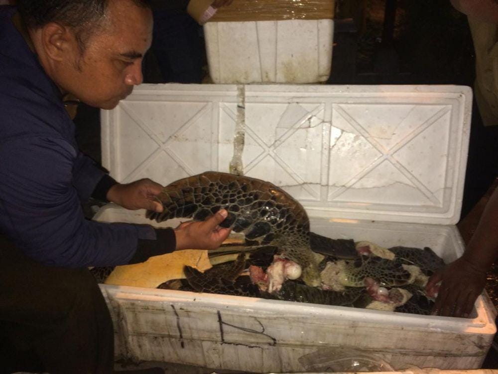 Dok.IDN Times/Istimewa