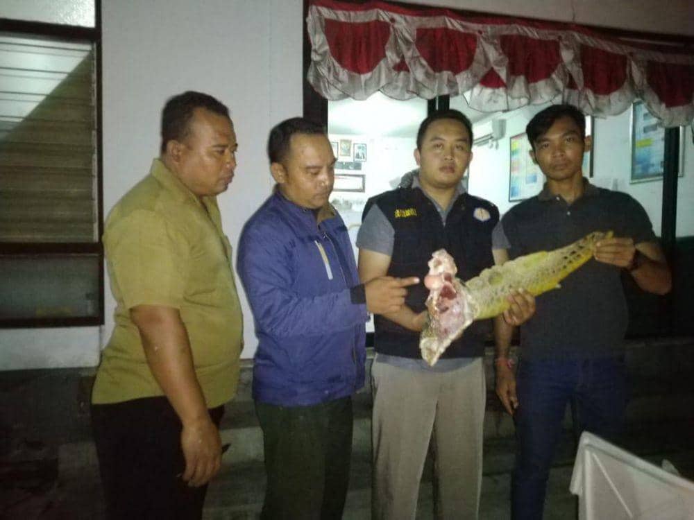 Dok.IDN Times/Istimewa