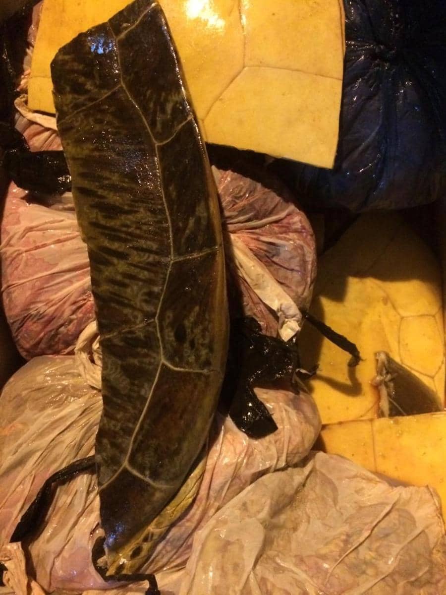 Dok.IDN Times/Istimewa