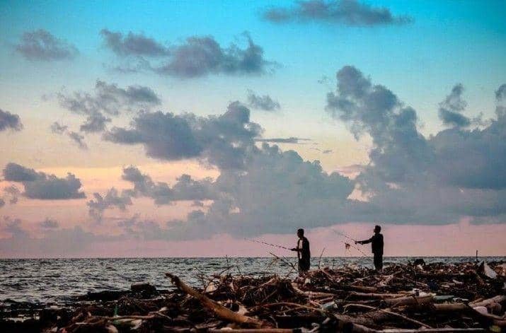 instagram.com/wimas_