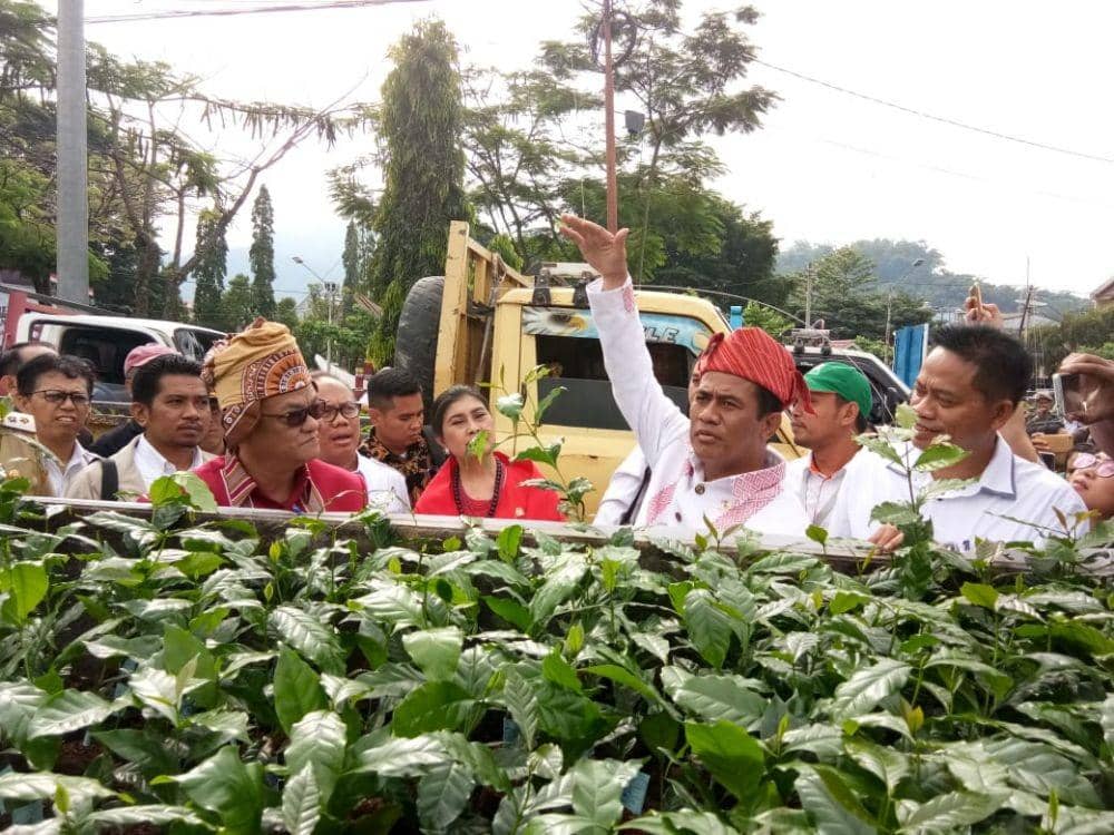 IDN Times/Didit Hariyadi