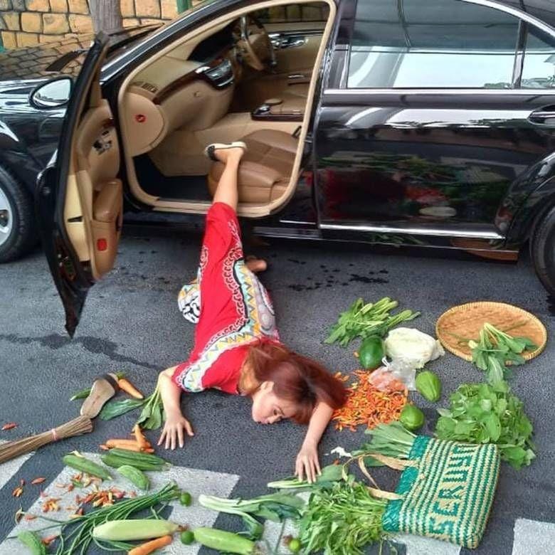 instagram.com/inul.d/