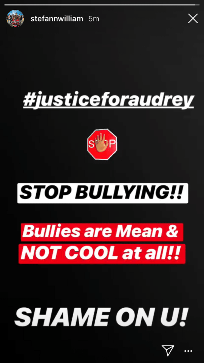 Instagram.com/steffanwilliam