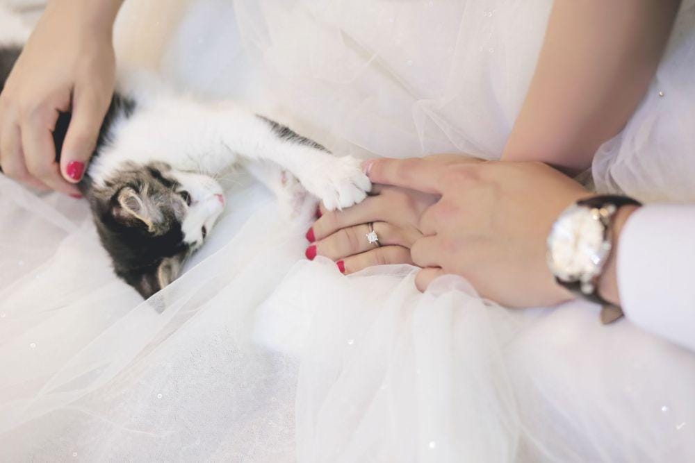 alwedsmel.heartquarters.sg