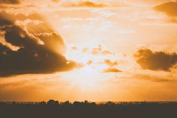 Unsplash/Trevor Gerzen