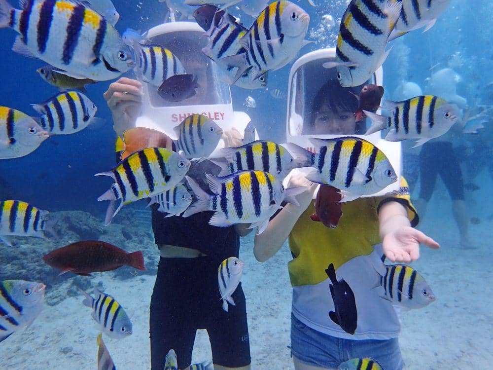 elinchow.blogspot.com