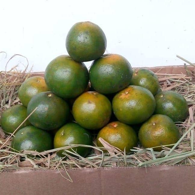 instagram/putra_asih