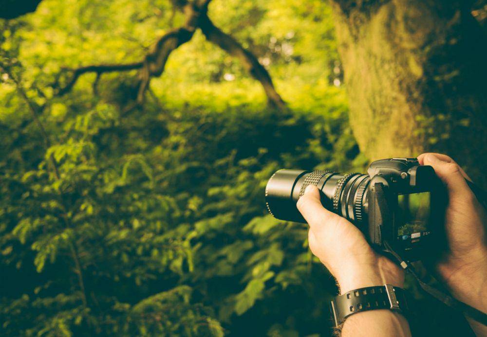 Unsplash.com/Jamie Street