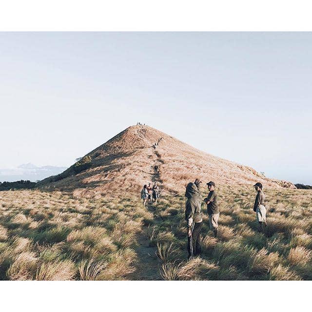 instagram.com/@fiersabesari