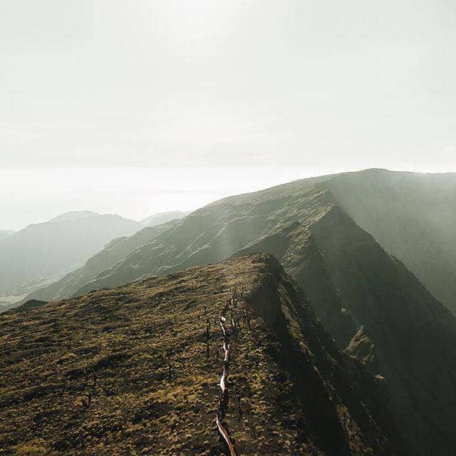 instagram.com/@fiersabesari