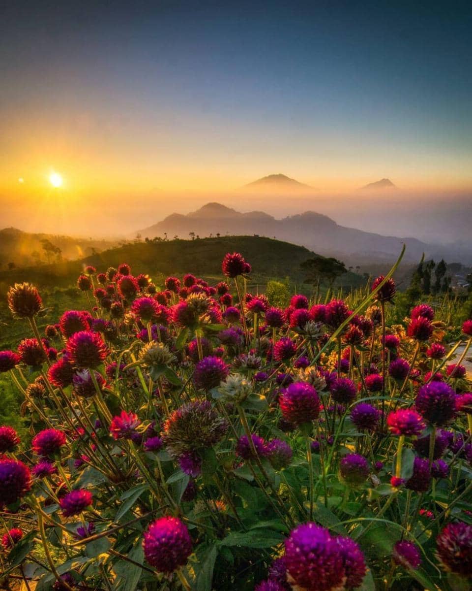 instagram.com/rizal_rosyadi