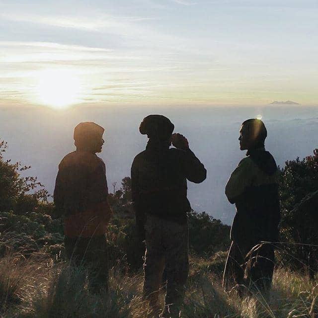 instagram.com/@fiersabesari