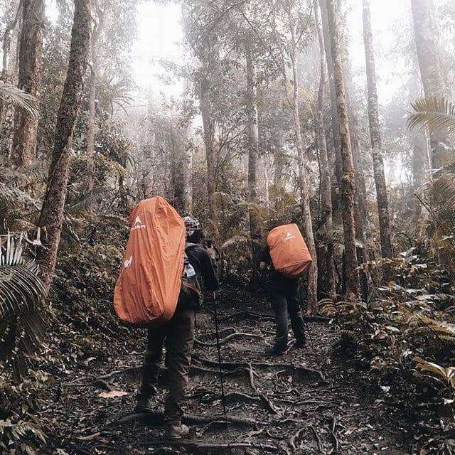 instagram.com/@fiersabesari