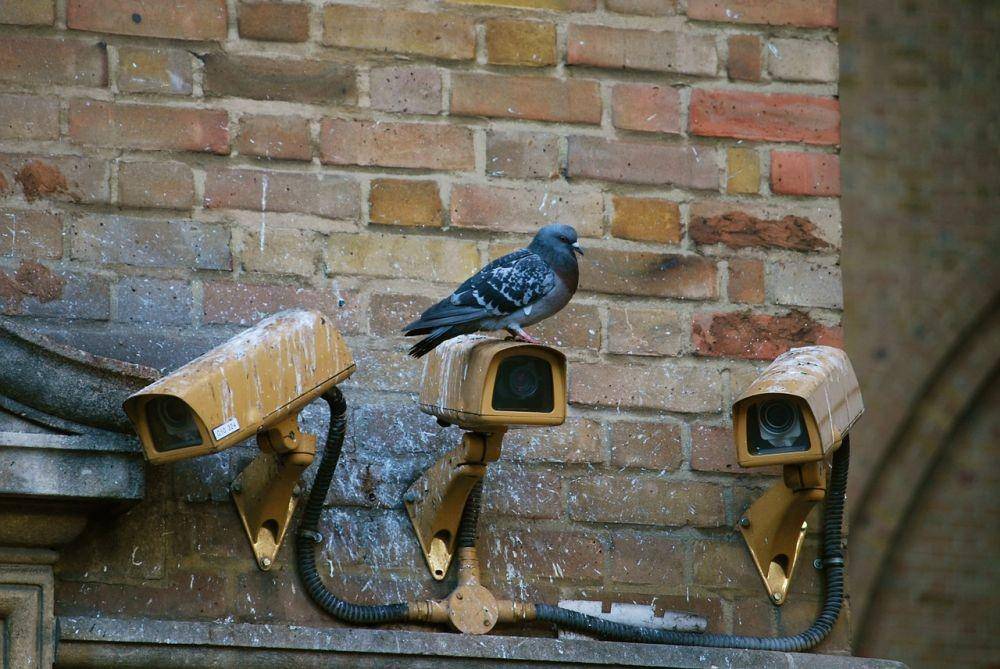 Ilustrasi CCTV. Pixabay