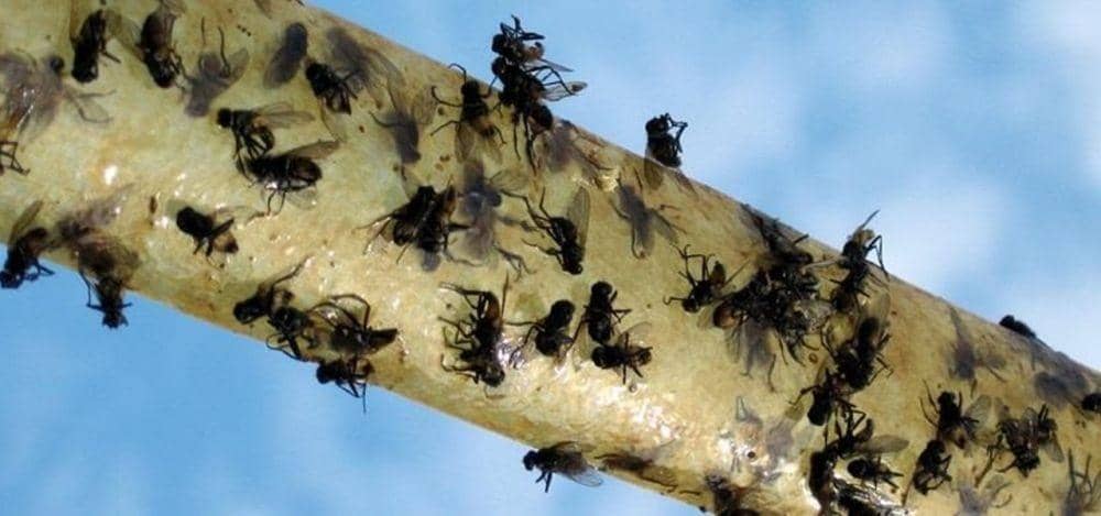 macgyverisms.wonderhowto.com