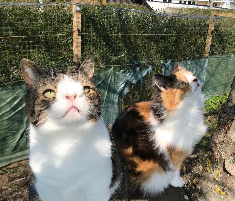 instagram.com/monty_happiness