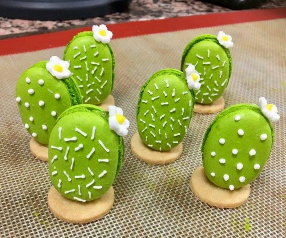 pinterest.com/silvia bellini