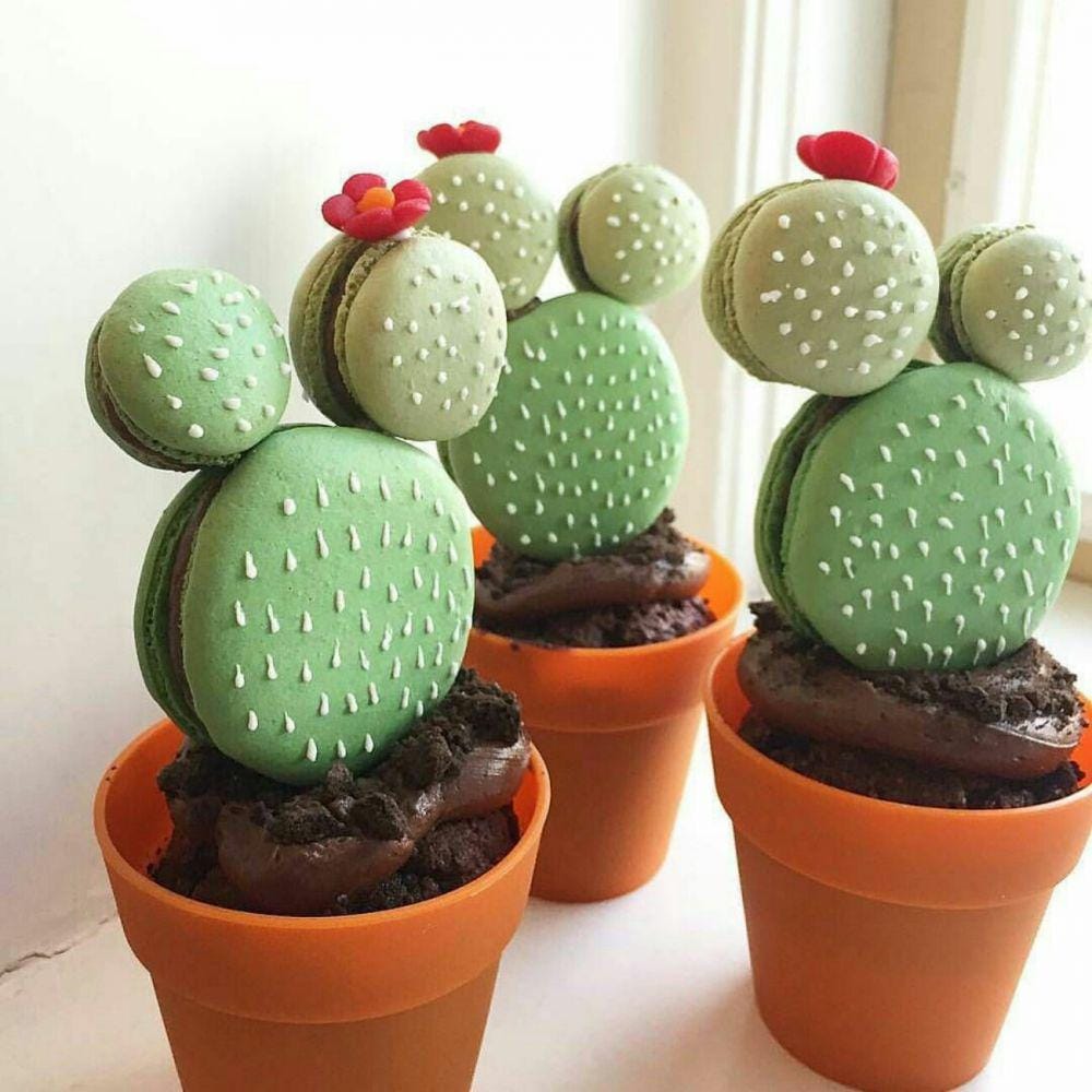 instagram.com/cupcakeproject