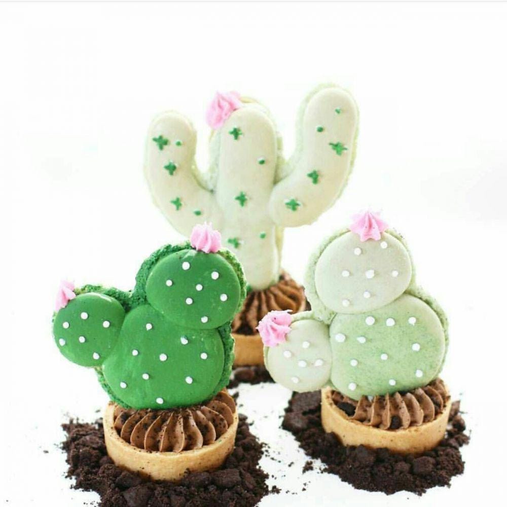 instagram.com/amourdecake