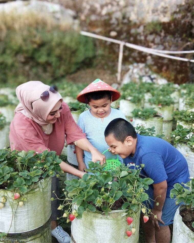 instagram.com/yulitamci5