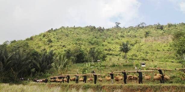 IDN Times/Toni Kamajaya