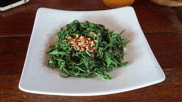 tukangjalanjajan.com