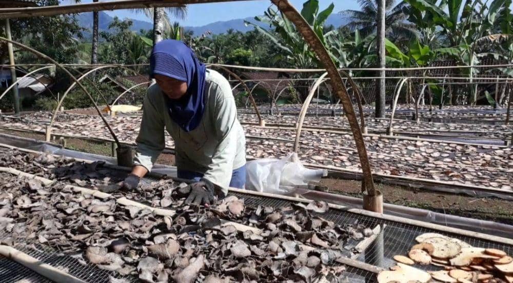 IDN Times / Shofi Fajriah