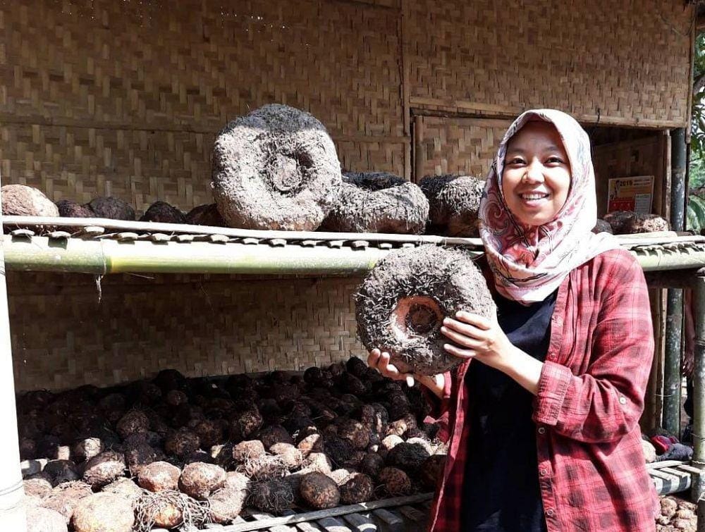 IDN Times / Shofi Fajriah