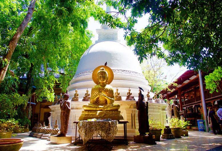 indiaodysseytours.com